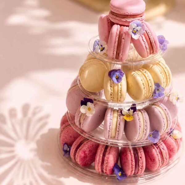 Curso monográfico: El Arte de los macarons (07 de Noviembre)